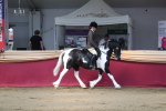 SBM_02928