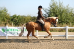 SBM_01134