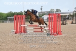 BPP_7317