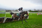 151125-Race 5-Vee Dancer-3963