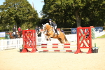 SBM_23958