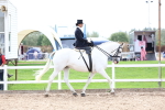 SBM_03384