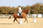 SBM_009151