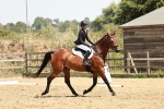 SBM_003546