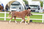 SBM_09195