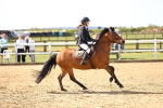 SBM_000878
