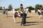 SBM_03235