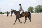 SBM_11448