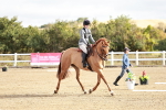 SBM_009087