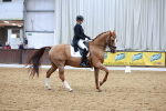 SBM_004019