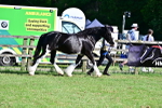 SBM_10151