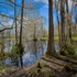 Cross Creek