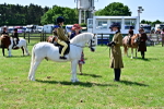 SBM_05910