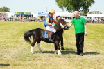 SBM_17073