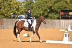SBM_07724