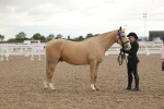 SBM_07665