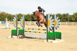 SBM_002905