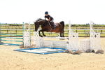 SBM_006630