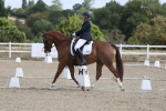 SBM_020419