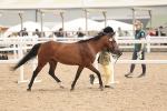 SBM_16970