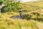 Tebay-244