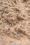 230628A-165046-01071
