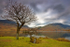 Crummock Water