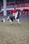 SBM_003724