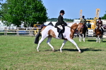 SBM_19532