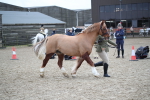 SBM_006204