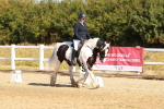SBM_016763