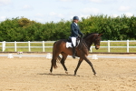 SBM_007768
