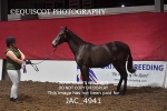 JAC_4941