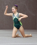 Kendal Gymnastics Competition part two portfolio