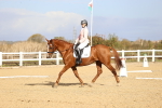 SBM_009145