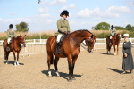 SBM_02344