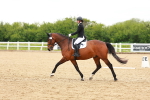 SBM_006535