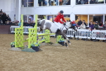 SBM_003918