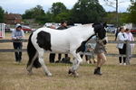 WJ6_8363