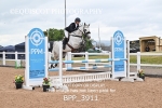 BPP_3911