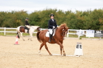 SBM_001368
