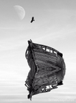 Moon Flight MONO