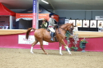 SBM_06381