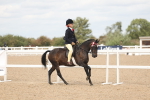 SBM_15975