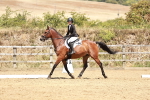 SBM_003542