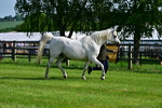 SBM_01050