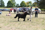 WJ6_7027