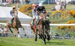 Guernsey Race Club Horse Racing 2018-22