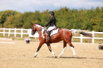 SBM_011849