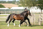 SBM_10346
